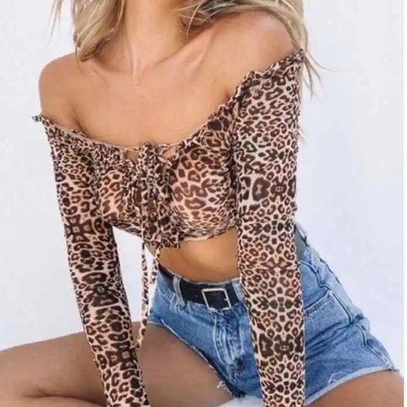 Princess Polly Long Sleeve Mesh Leopard / Cheetah Print Crop Top - Picture 1 of 4